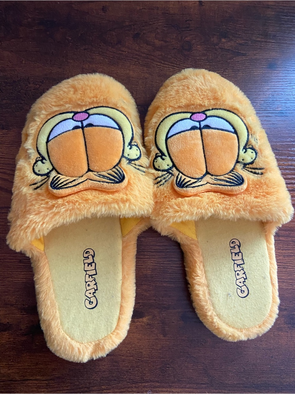 Garfield Slippers - Worn Once